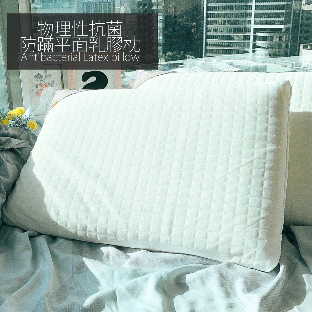 枕頭 / 乳膠枕【平面乳膠枕】物理性抗菌防蹣  AEI100
